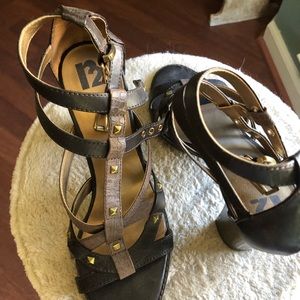 GREAT BROWN & GOLD GLADIATORS